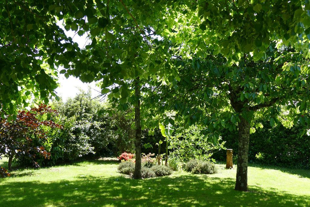 كور تشيفيرني Le Clos Des Perraudieres المظهر الخارجي الصورة